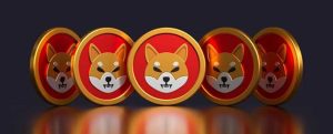 Shiba Inu Crypto