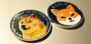 Shiba Inu crypto vs Dogecoin