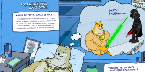 Maxi Doge - despre proiect