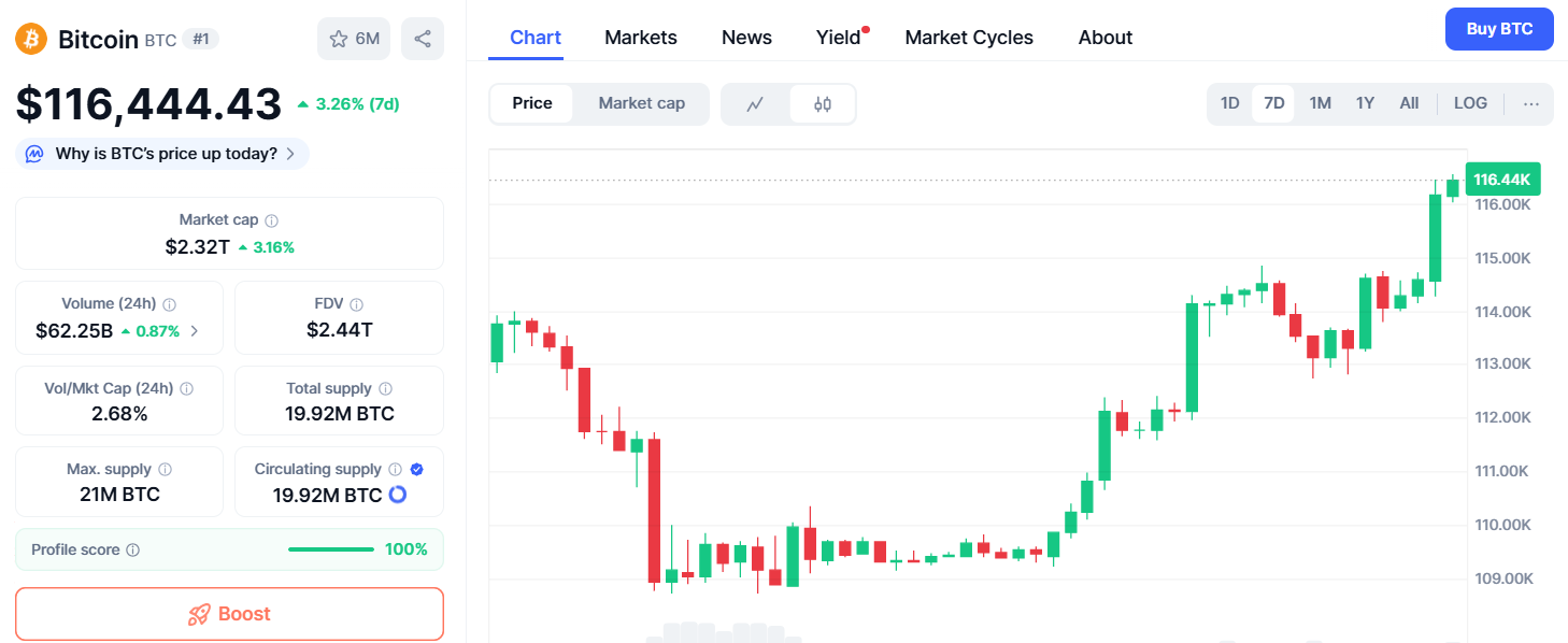 Grafic Bitcoin 116.000$