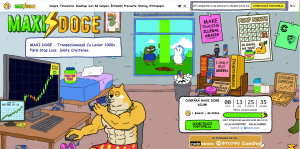 maxi doge