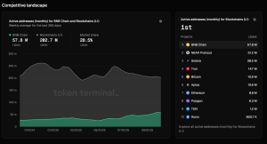 Token Terminal BNB Chain