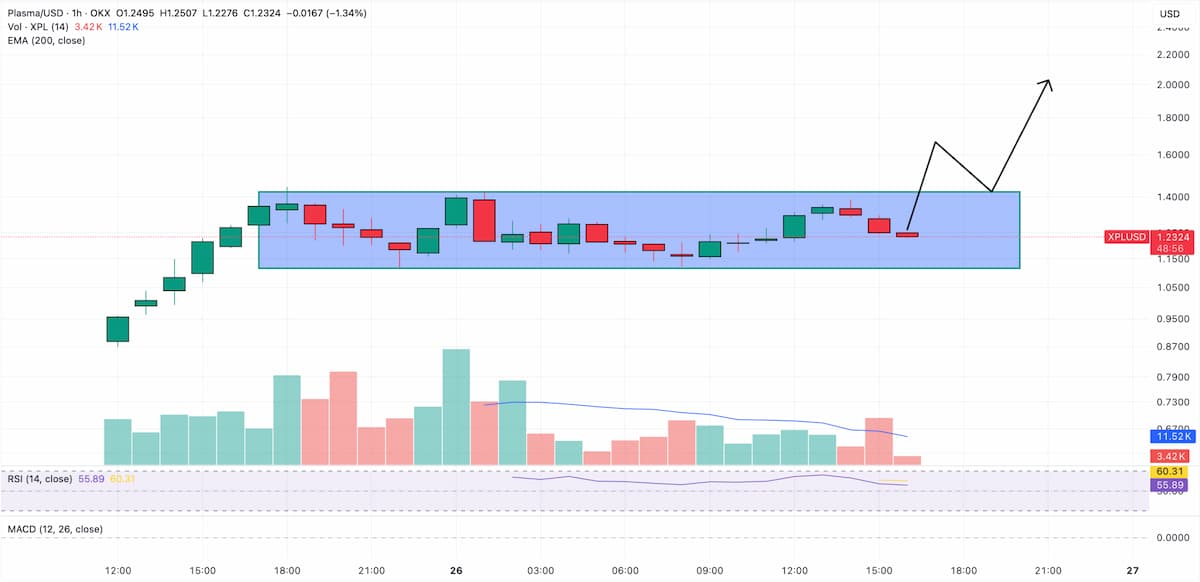 Plasma (XPL) nalazi podršku na 1,1 $ – može li nastaviti da raste