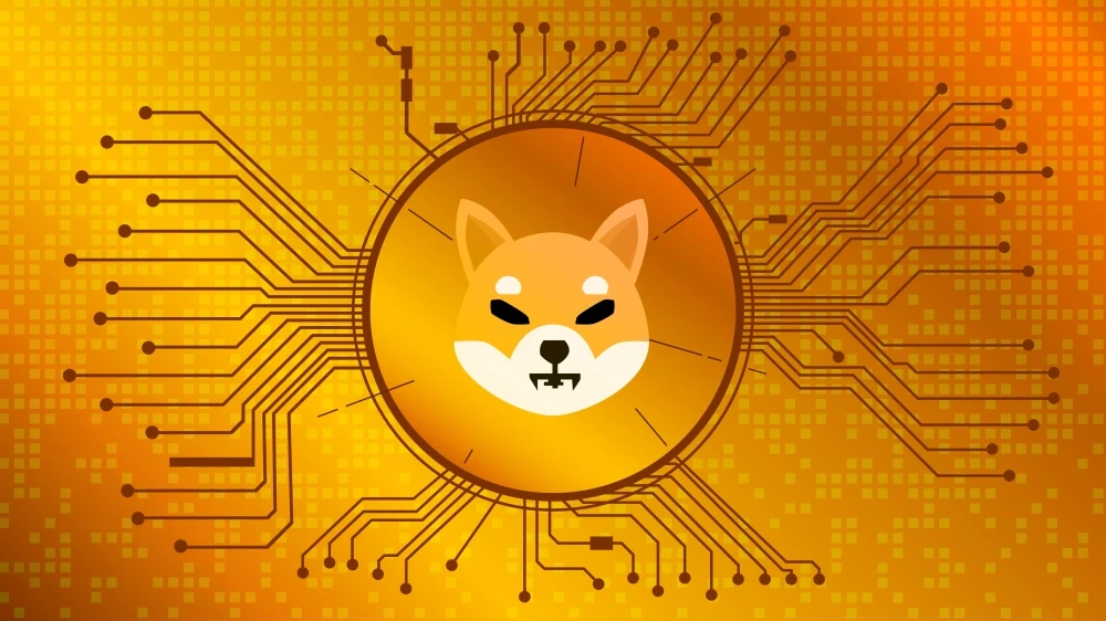 shiba inu meme coin