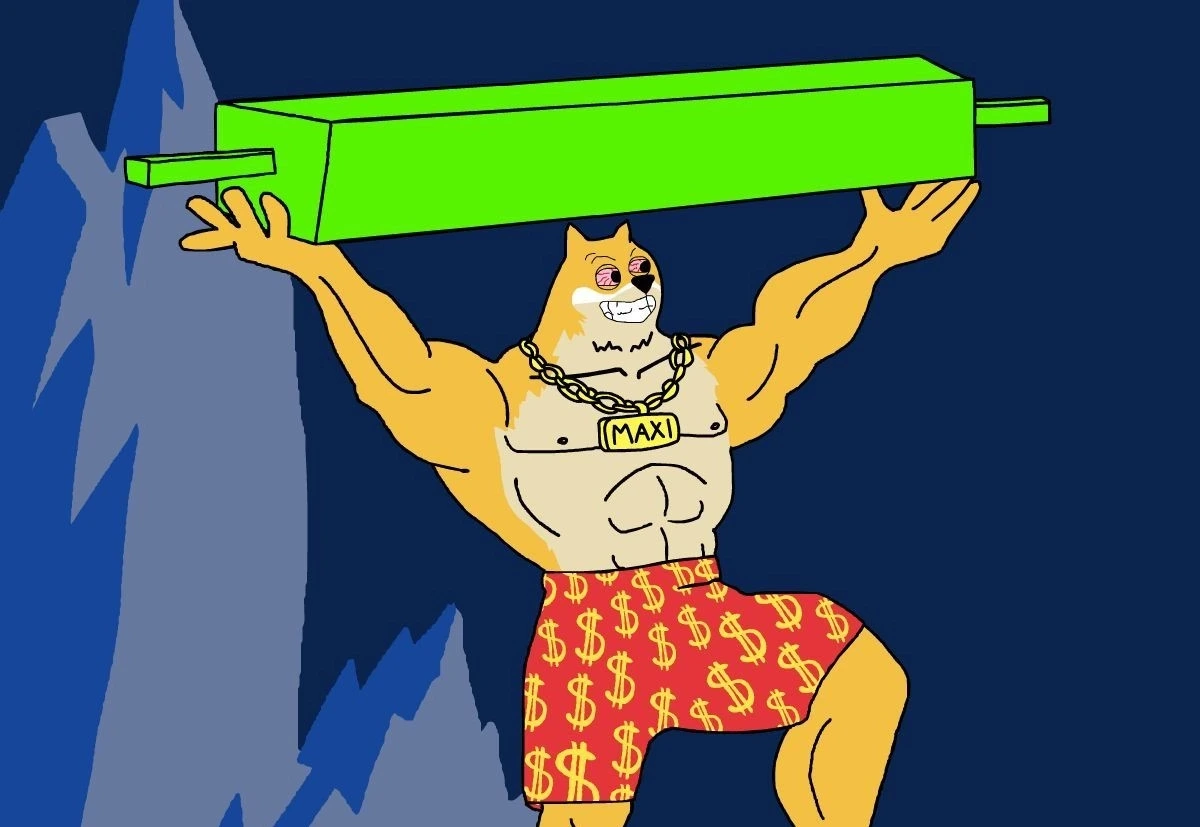 maxi doge