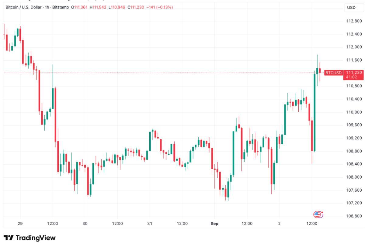 tradingview