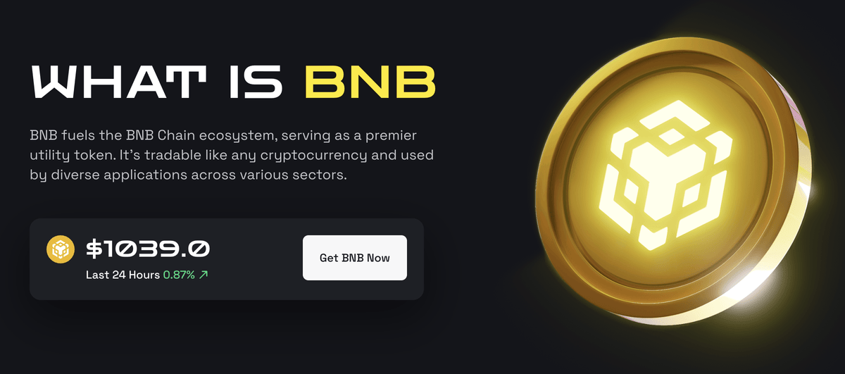 bnb coin altcoin
