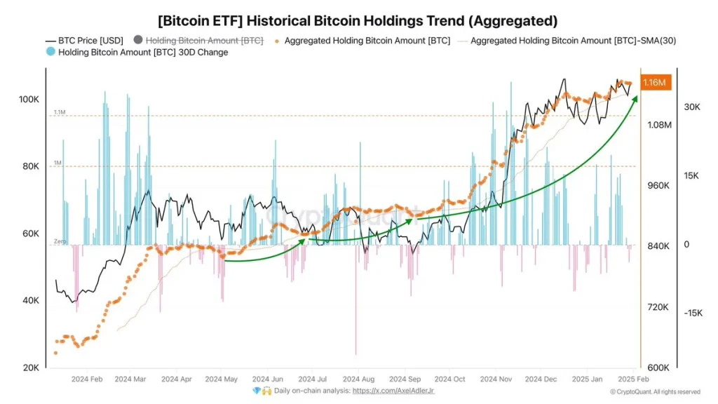 แนวโน้มการถือครอง Bitcoin (BTC) ที่ผ่านมา