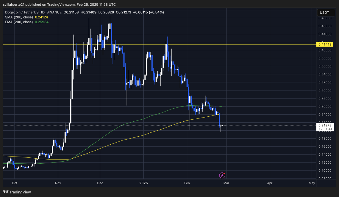 Dogecoin จะฟื้นตัวได้หรือไม่? หลังทำราคาดิ่งเหวภายในไม่กี่วัน