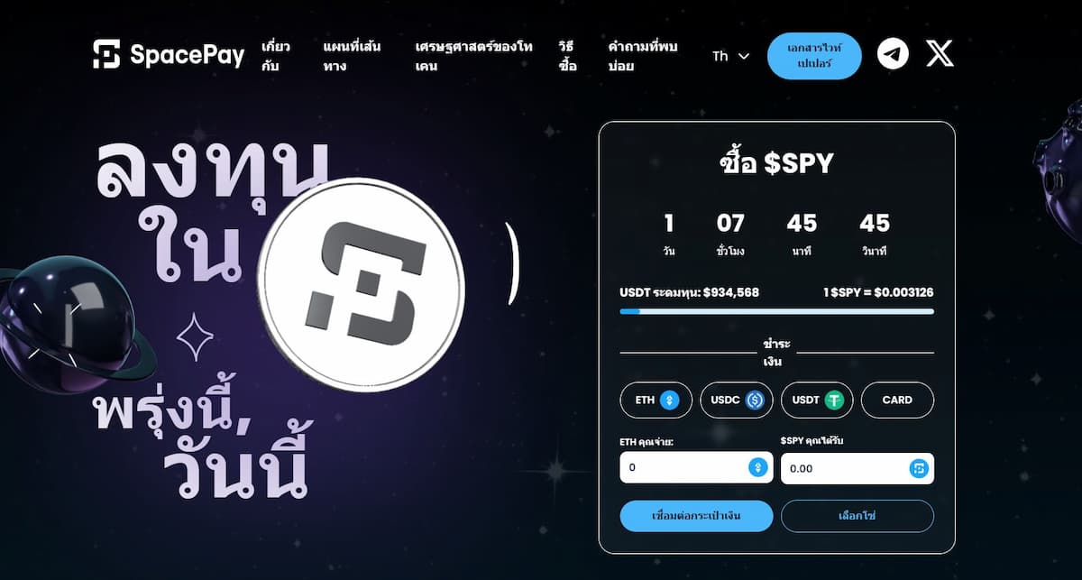 เหรียญมีม คริปโตที่อาจพุ่งขึ้น 1000 เท่าในอนาคต - SpacePay (PAY)