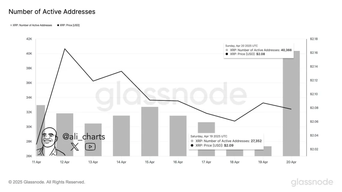 สัญญาณบวก! พบกิจกรรมบนเครือข่าย XRP พุ่ง 67% ภายใน 24 ชั่วโมง