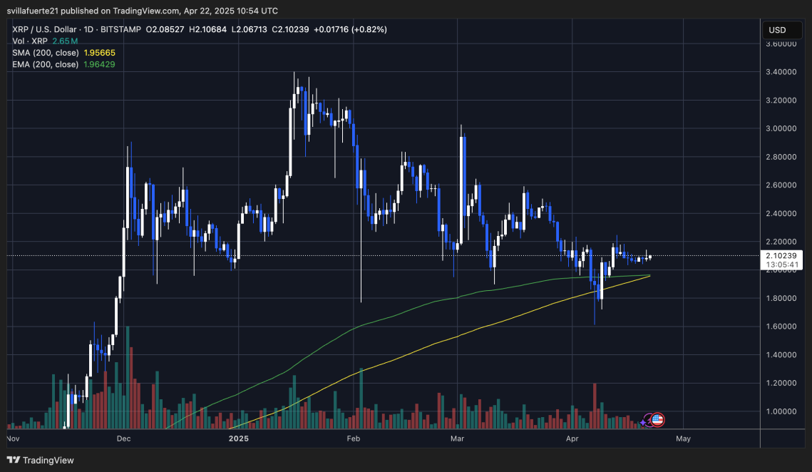 สัญญาณบวก! พบกิจกรรมบนเครือข่าย XRP พุ่ง 67% ภายใน 24 ชั่วโมง