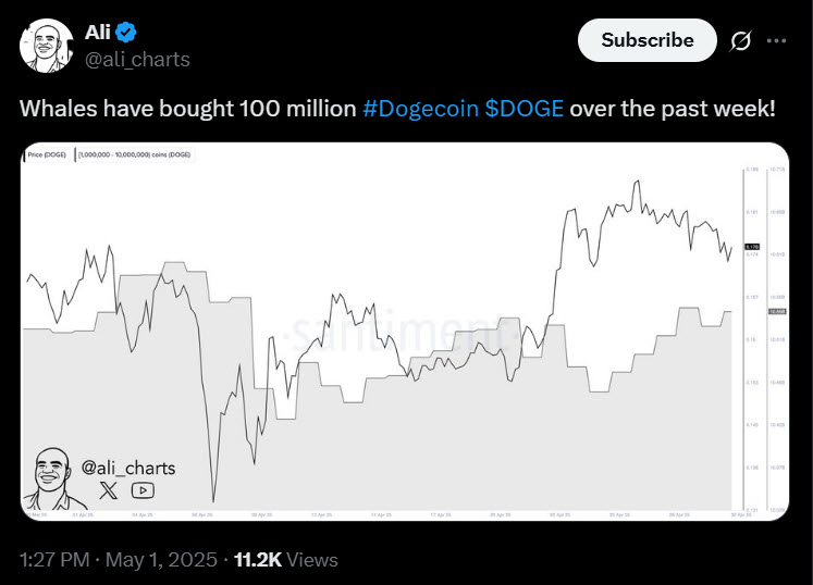 สัญญาณอะไร ตรวจพบวาฬกว้านซื้อ Dogecoin กว่า $18 ล้านขณะราคาทรงตัว 2