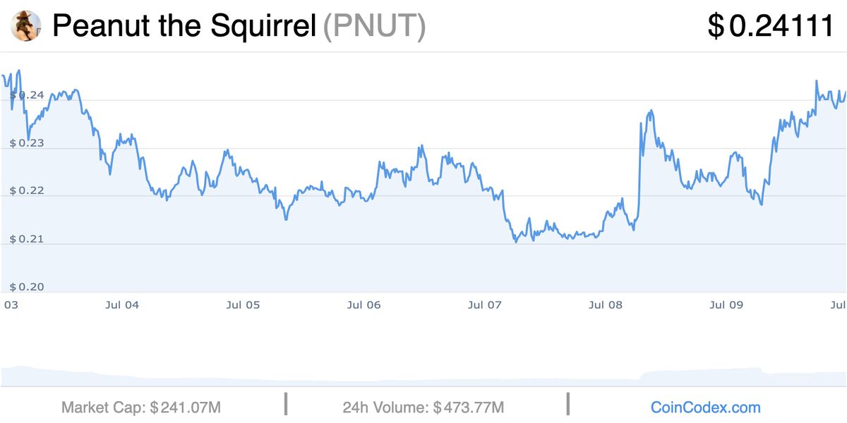 กราฟรายวัน Peanut the Squirrel