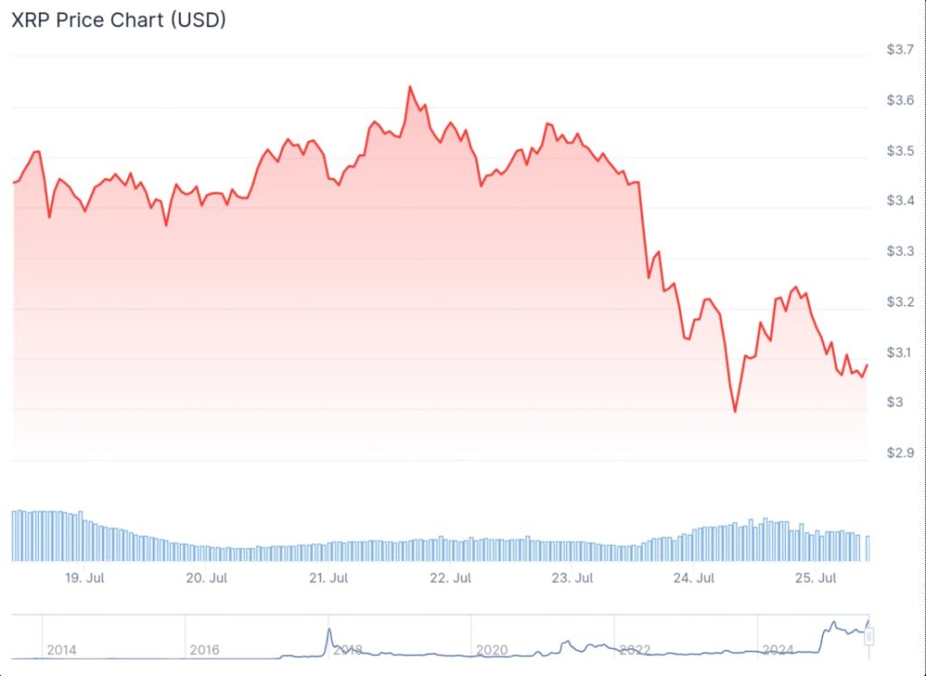 วาฬ XRP แห่ช้อนซื้อดุ! แม้เครือข่ายซบ คาดแรงฟื้นจากแนวรับ $3.10