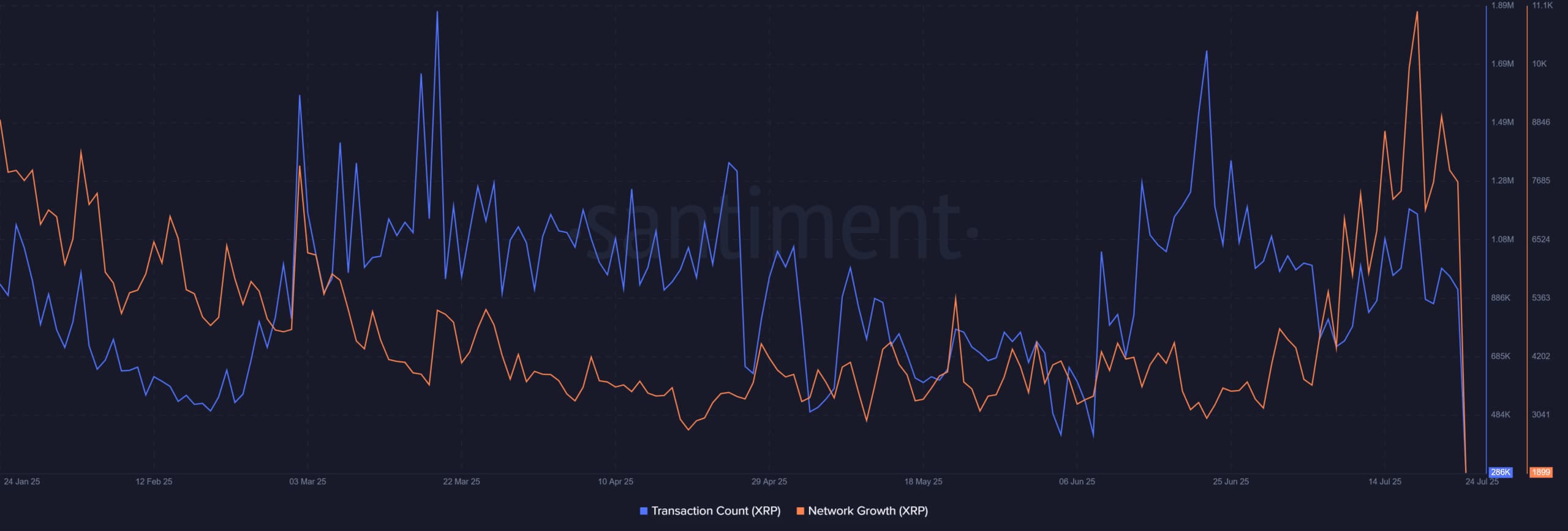 วาฬ XRP แห่ช้อนซื้อดุ! แม้เครือข่ายซบ คาดแรงฟื้นจากแนวรับ $3.10
