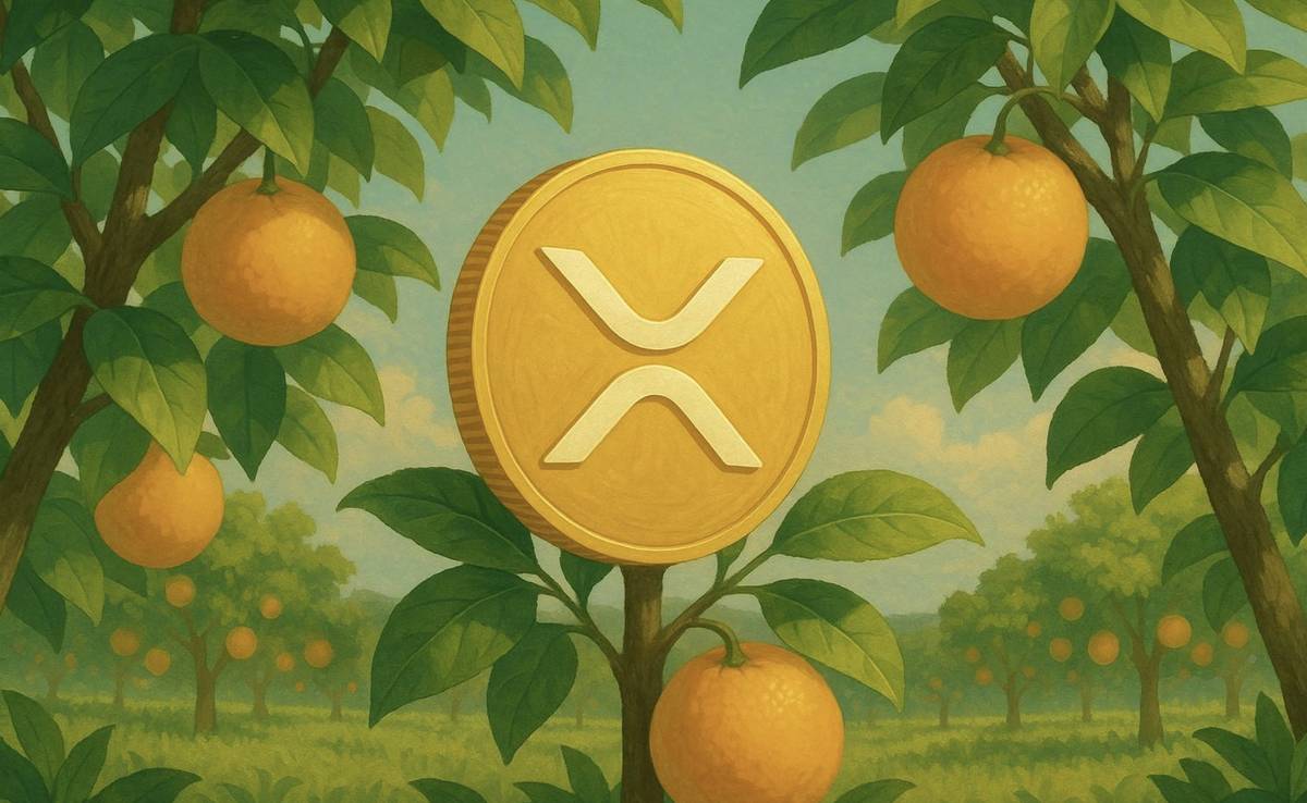 XRP ร่วงต่ำกว่า $3 อีกครั้ง นักลงทุนควรซื้อดักหรือหนีให้ไกล?