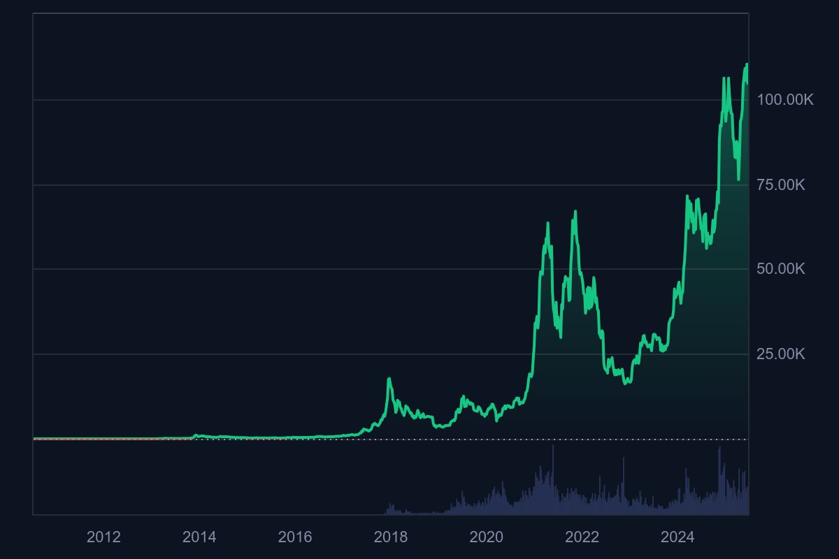 Bitcoin Fiyat Grafiği 2011-2025