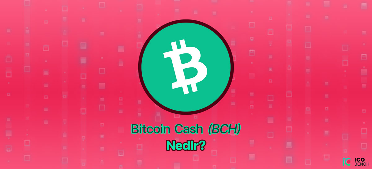 Bitcoin Cash Nedir? BCH geleceği nasıl olacak?