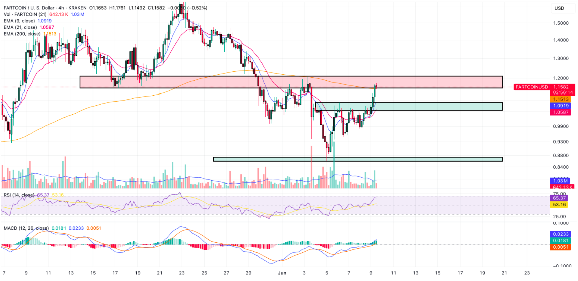 Fartcoin grafik