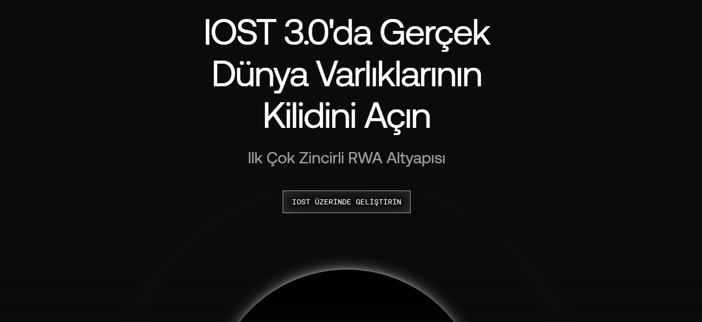 IOST ne demek? Blockchain hakkında genel bilgiler