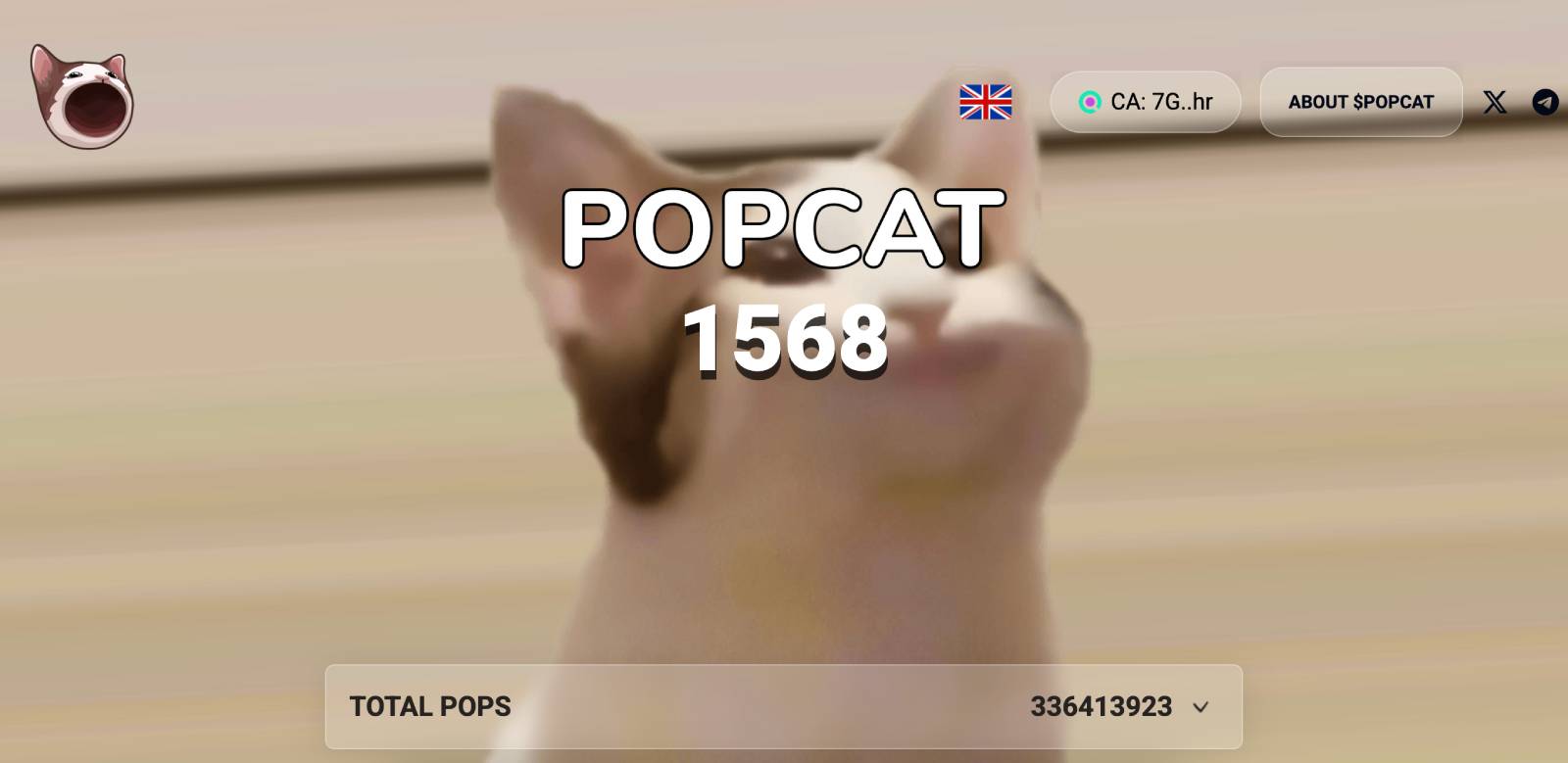 Popcat - Bol Sıfırlı Coinler
