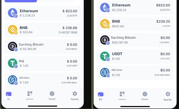 Best Wallet Kurulum Rehberi