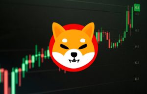 Shiba Inu (SHIB), Balina Hareketleriyle Yeniden Sahada: Fiyat Yönü Ne Olacak?