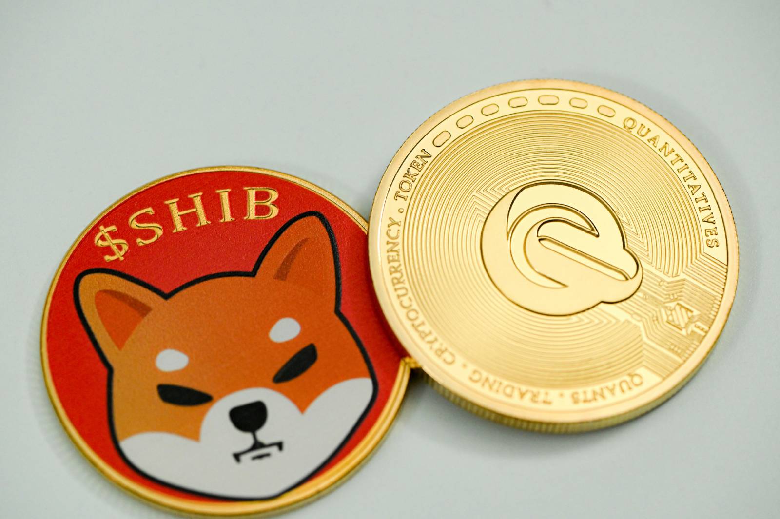 Shiba Inu SHIB