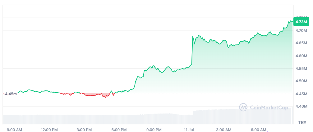 bitcoin grafik