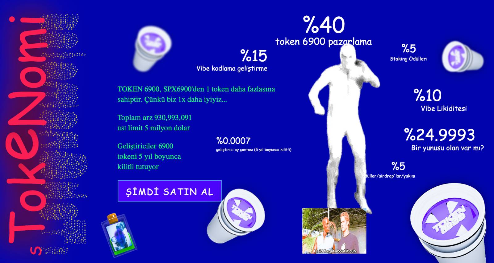 TOKEN6900 Tokenomi