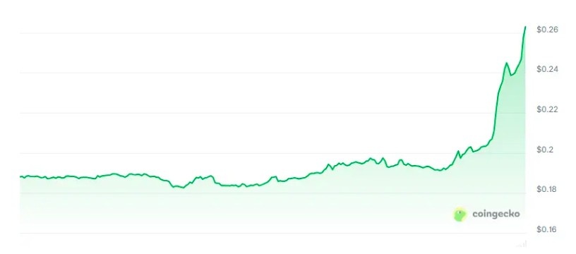 Altcoinlerde Kayıplar Derinleşiyor