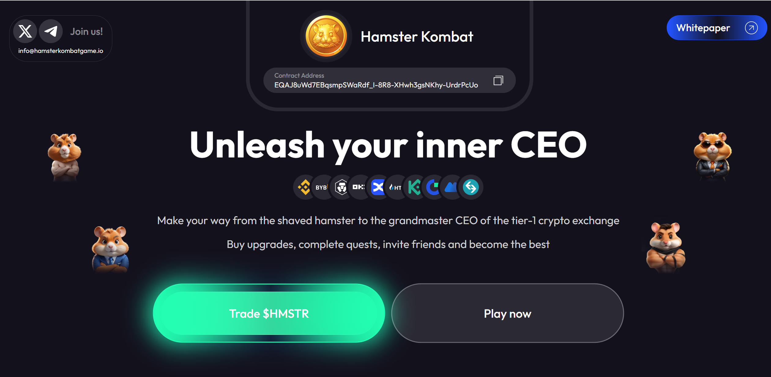hamster kombat