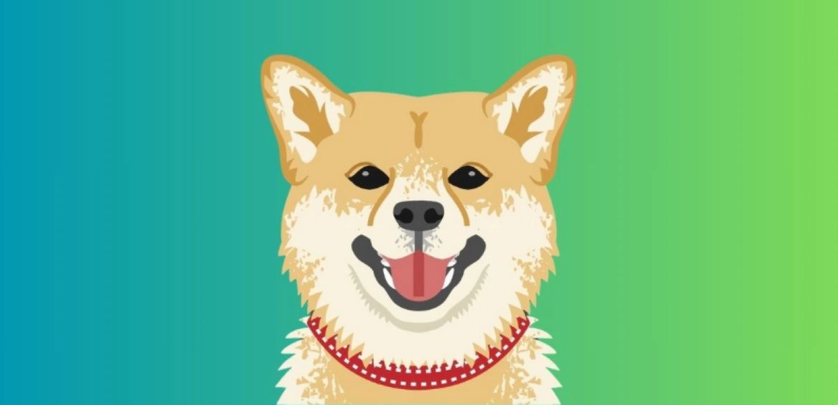 Dogecoin 9 Yükseldi: Powell’ın Konuşması Ralli Başlattı