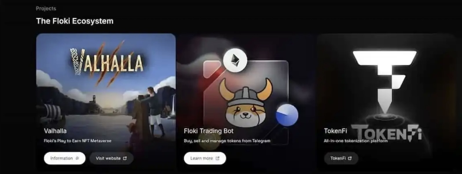 Floki coin fiyat tahmini. Coin özellikleri