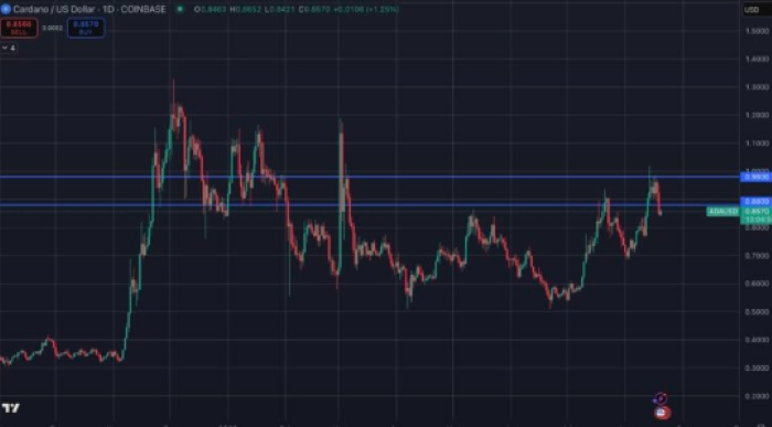 Chainlink, Cardano Ve Cronos: Ağustos 2025’in En İyi Altcoinleri