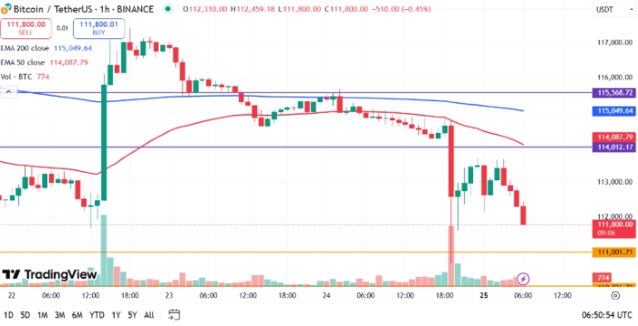 Bitcoin Fiyatı 25 Ağustos’ta Düşüşe Geçti: 112.000 Dolar Kritik Seviyede