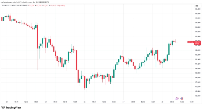 Bitcoin 113.000 Doları Aştı, Balina Satışları Yükselişi Durduramadı