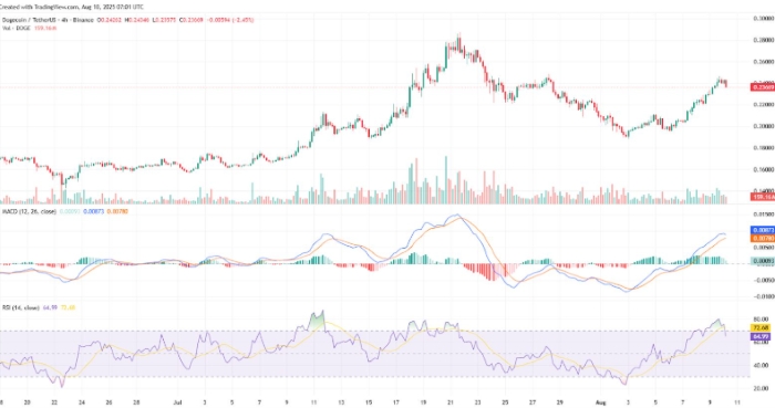 Dogecoin, 2025’te Üçüncü Kez 0,30 Dolar Direncini Test Ediyor