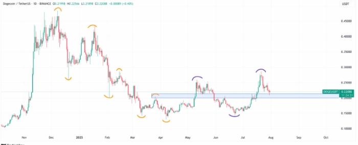 Dogecoin Kritik Seviyede: 0,205 Dolarlık Destek Altcoin Piyasası İçin Ne Anlama Geliyor?