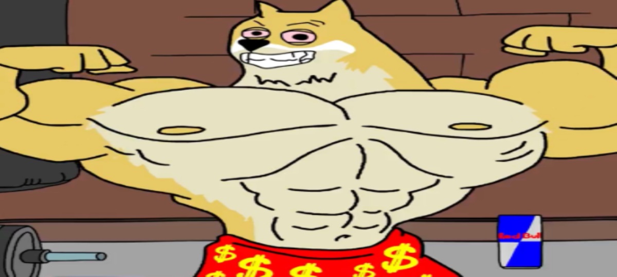 Maxi Doge, 1.000 Kat Kaldıraç Vizyonuyla 450.000 Doları Aştı
