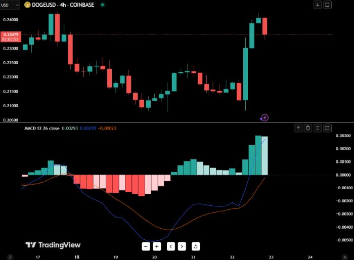 Dogecoin 9 Yükseldi: Powell’ın Konuşması Ralli Başlattı
