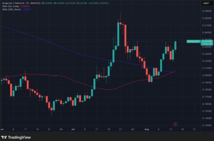 Maxi Doge Ön Satışta 1.000x Potansiyel ile Dogecoin’e Meydan Okuyor