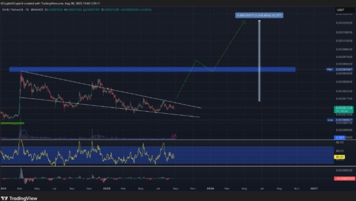 DeepSeek’in XRP, LINK Ve Shiba Inu İçin 2025 Boğa Tahminleri