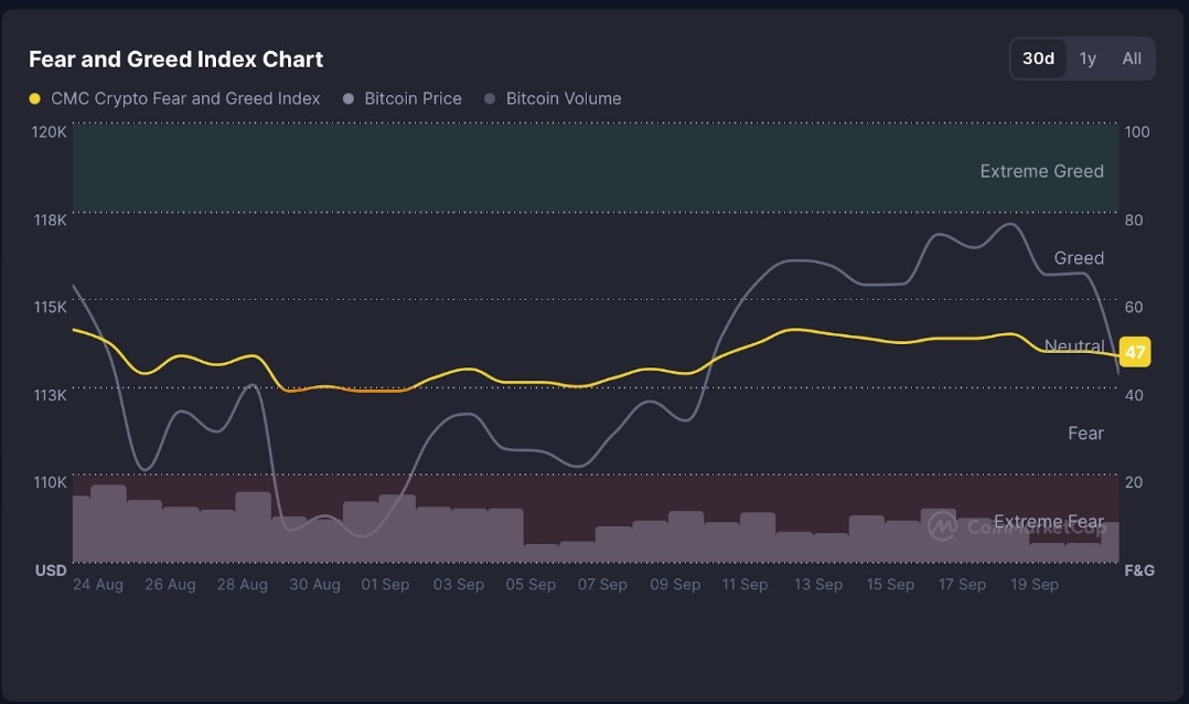 Kripto Çöküşünde Ayrışan Proje: Snorter Bot Token 4 Milyon Doları Aştı