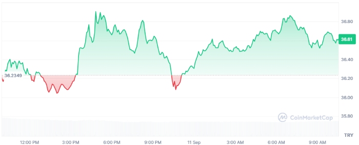Fed Kararı Öncesi Öne Çıkan 4 Altcoin: Analistlerden Kritik Beklentiler