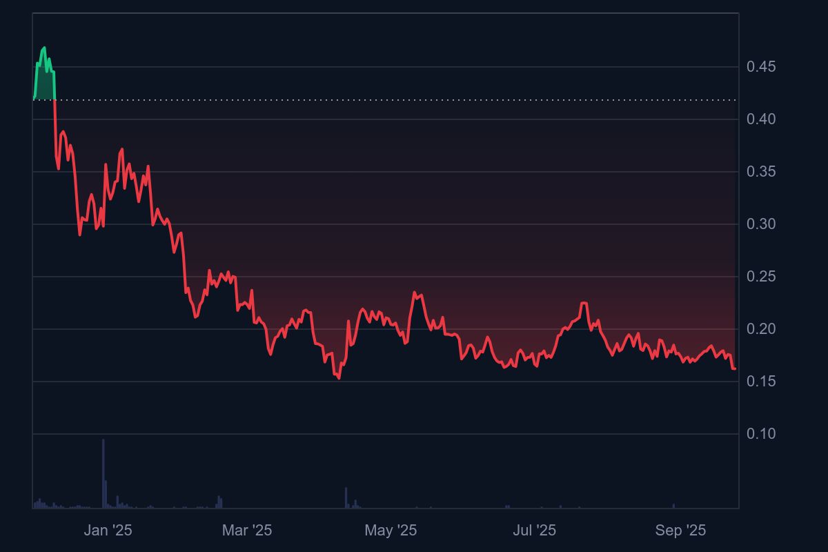 SXP coin fiyat 2025