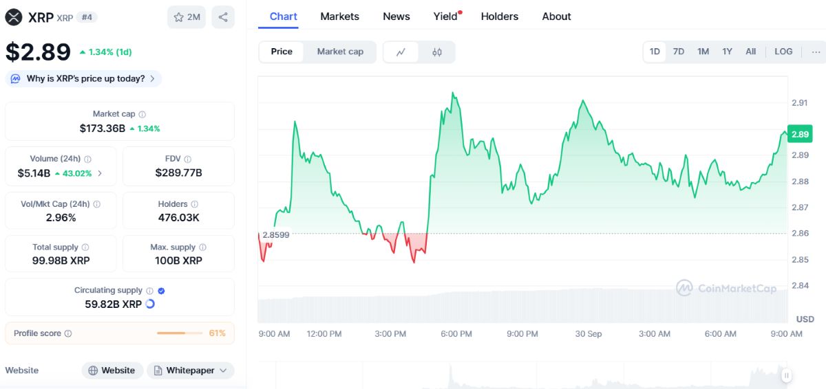 XRP fiyat hareketi
