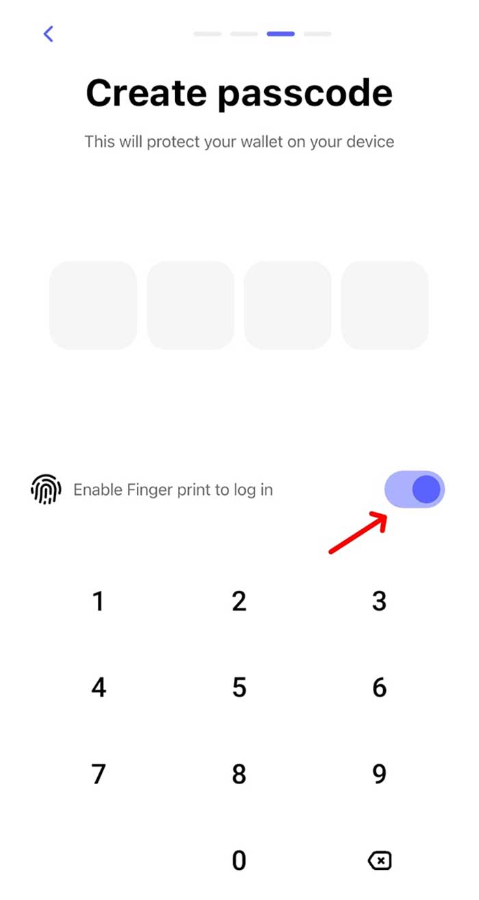 Best Wallet passcode belirleme