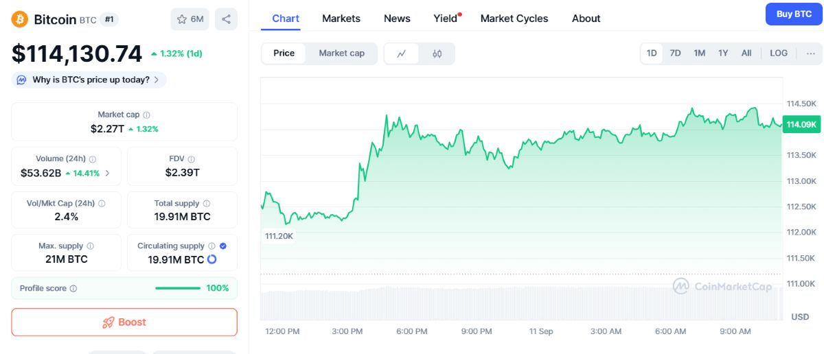 BTC fiyatı yükseliyor